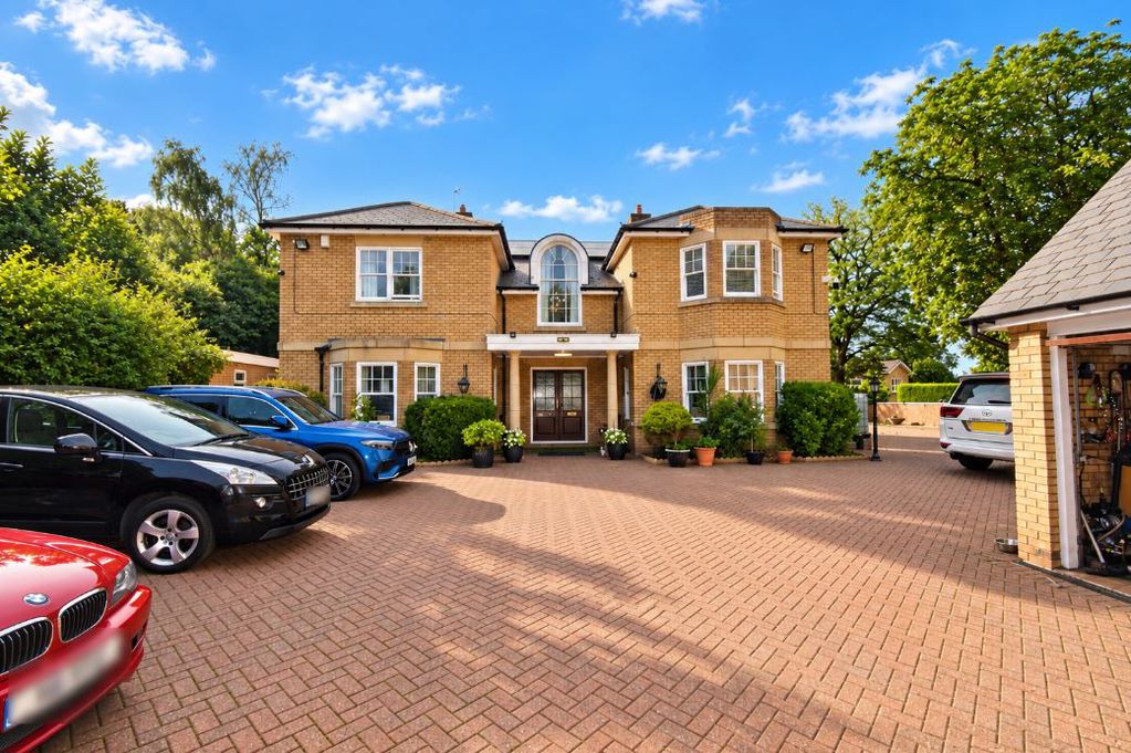 Main Image